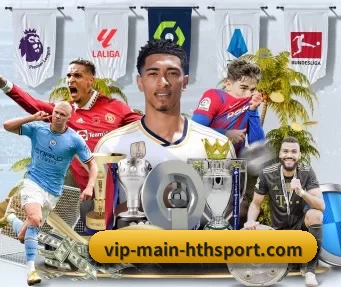 vip-main-hthsport.com APP